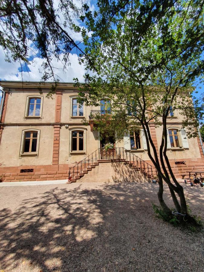 Sojolidays - D'hôtes&brocante Appartement Rorschwihr
